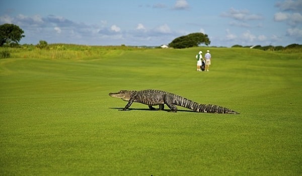 上達しない理由